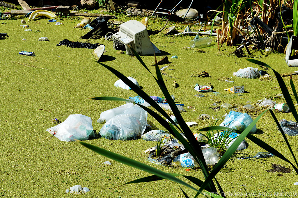 Río contaminado con bolsas, botellas y elementos electrónicos