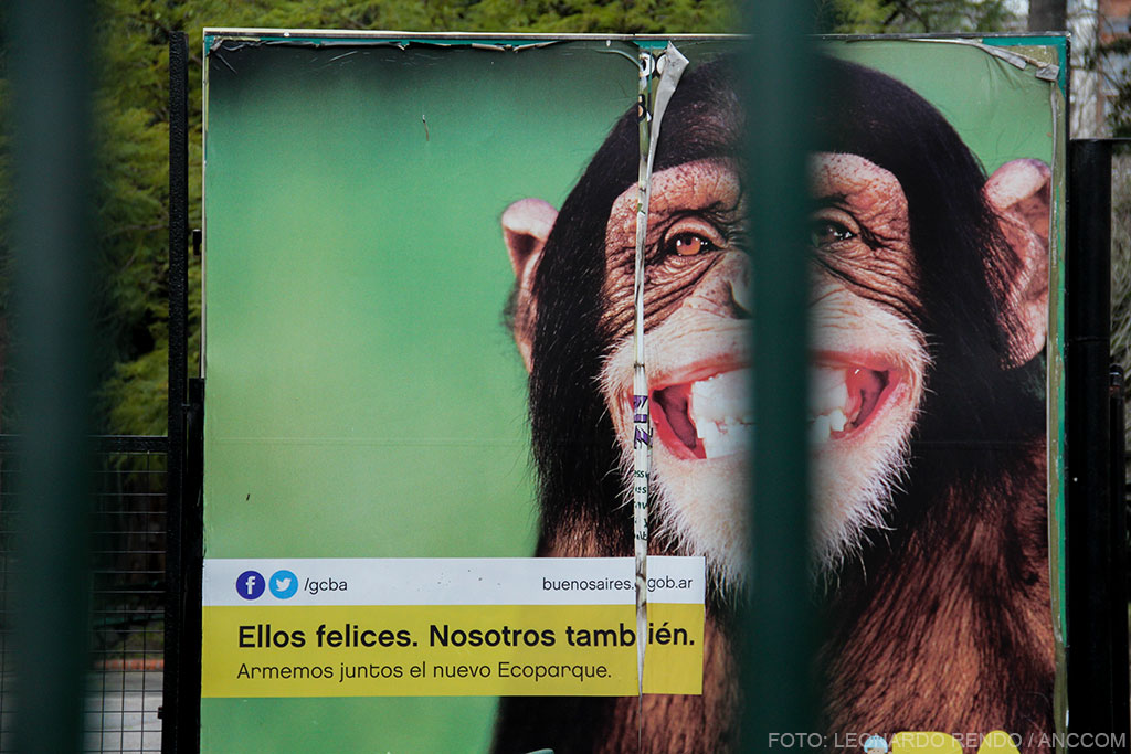 Tras unas rejas en primer plano, se ve el afiche un poco descascarado de un mono sonriendo. Con la leyenda del gobierno de la ciudad que dice"Ellos felices. Nosotros también. Armemos juntos el nuevo ecoparque".