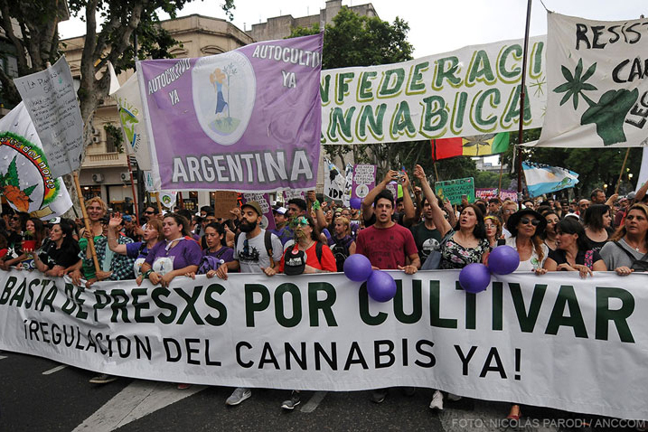 «Cannabis al Congreso»