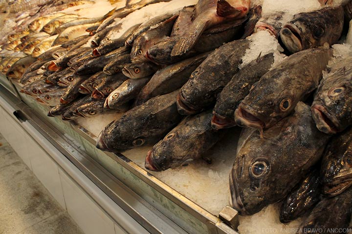 A los medios les vendieron pescado podrido