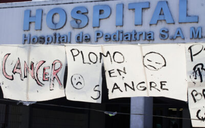 Un estudio alerta sobre el efecto del glifosato en los niños