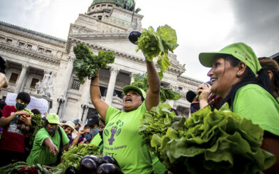 El rompecabezas de la soberanía alimentaria