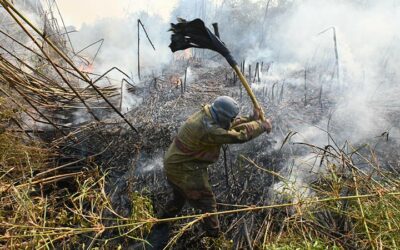 «Tuvimos 2.500 incendios diarios»