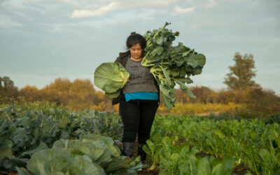Por una alimentación sana, segura, soberana y saludable