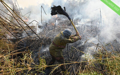 «Tuvimos 2.500 incendios diarios»