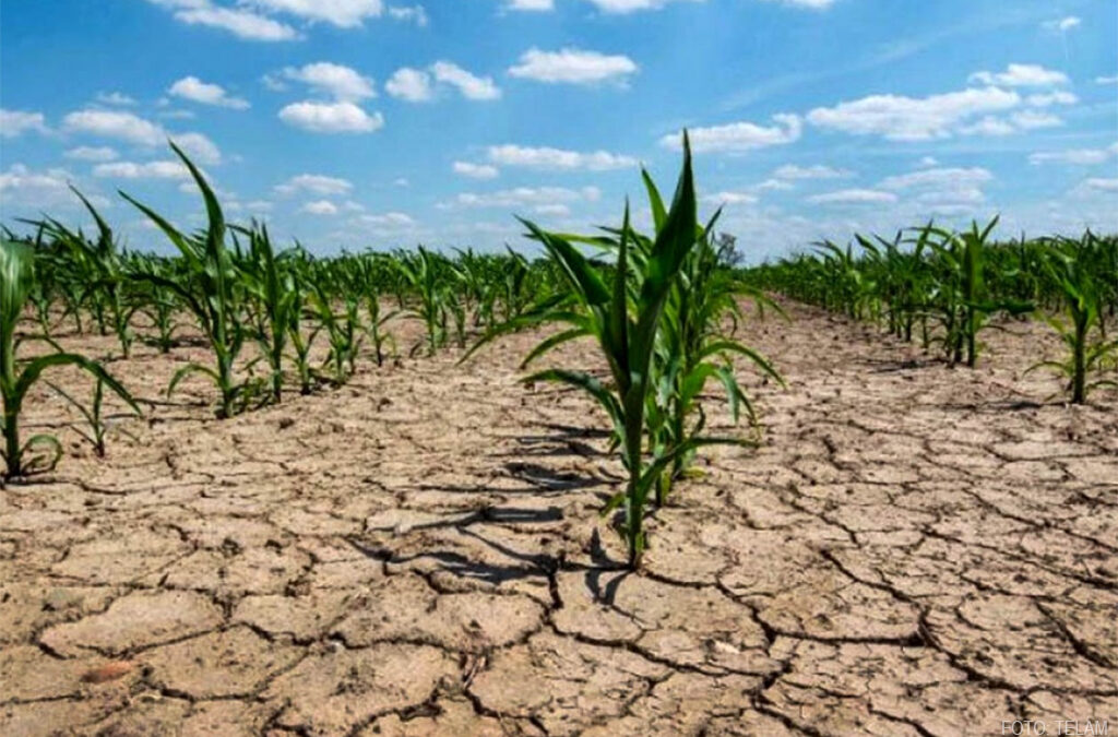 ¿Sequía o ecocidio?