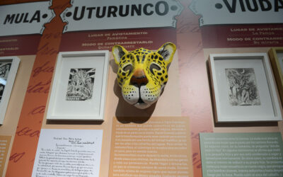 Un lobizón suelto en la Biblioteca Nacional