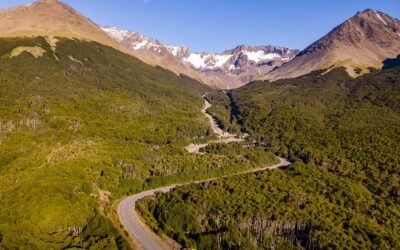 Bosques y glaciares, ¡afuera!