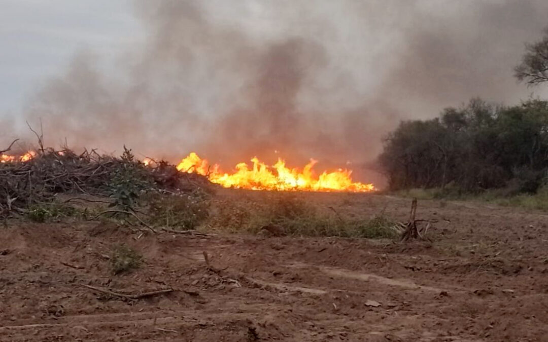 Esa vieja costumbre de incendiar