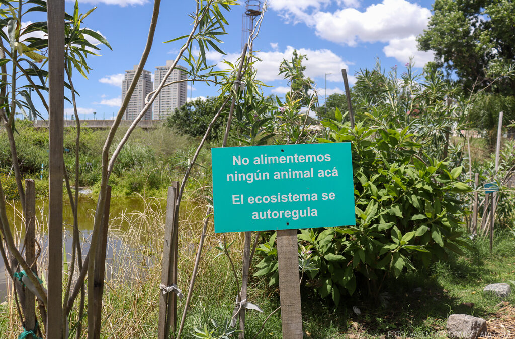 Un pulmón verde cartonero floreció en Caballito