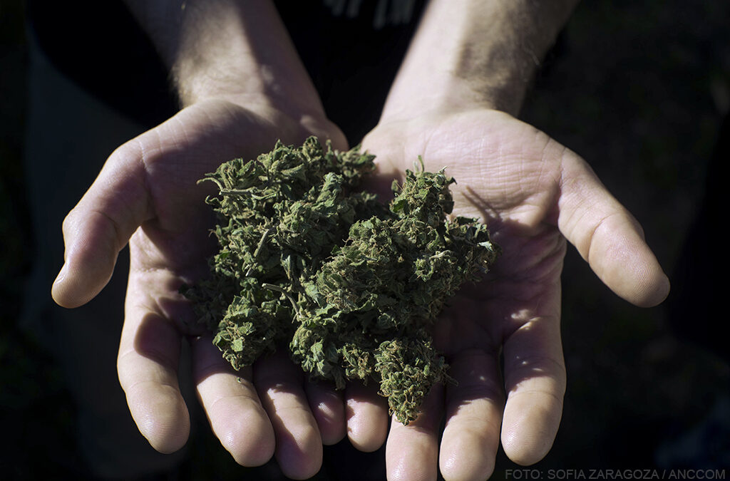 La baja del Reprocann es puro humo