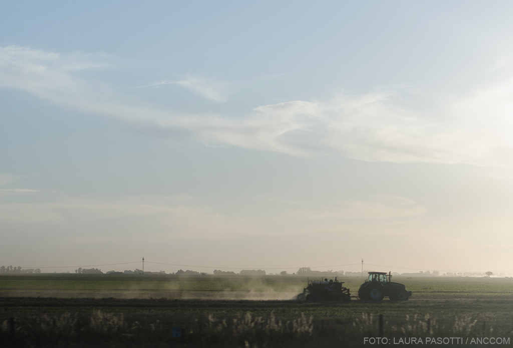 RN9, plantaciones de soja, 5 de Diciembre 2015. Foto: Laura Paso