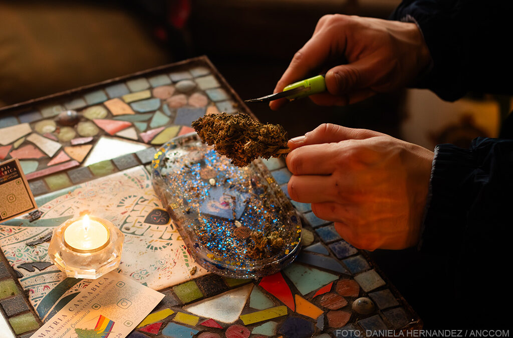 Cuando el Estado se convierte en grower