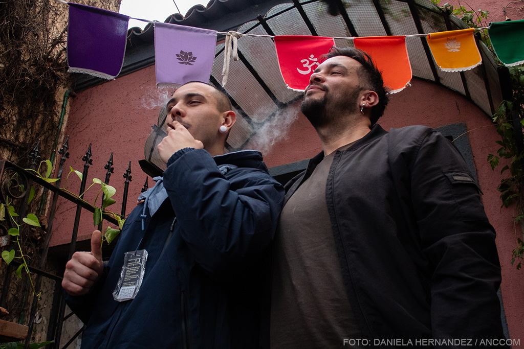 Participacion del estado en la producción de Cannabis
