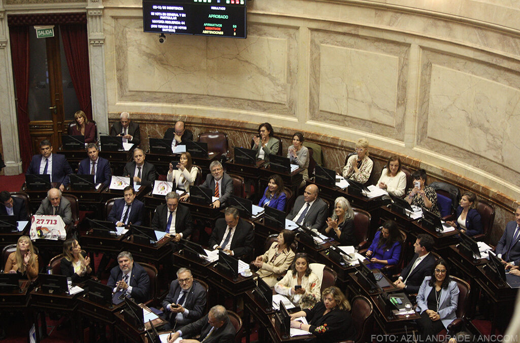 El Senado rechazó los vetos a las leyes de Emergencia Pediátrica y de Financiamiento Universitario