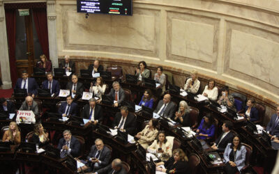 El Senado rechazó los vetos a las leyes de Emergencia Pediátrica y de Financiamiento Universitario